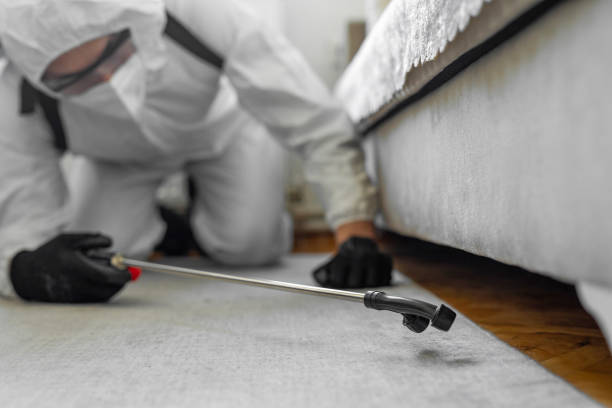 Professional Bed Bug Control technician working in Briar Chapel, NC