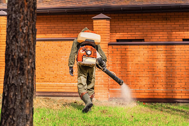 Trusted Emergency Pest Control service in Briar Chapel, NC - Nex Pest Control